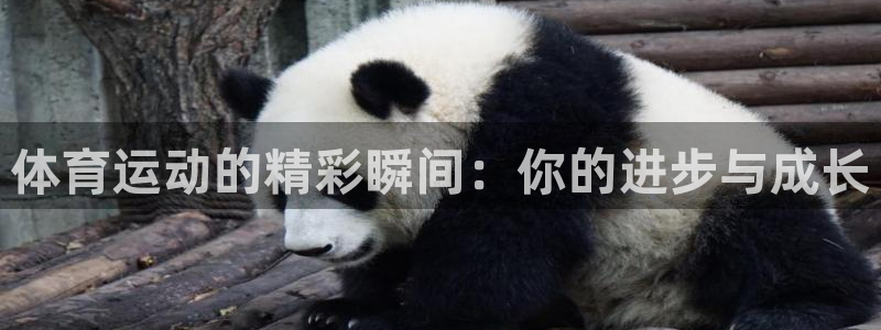 悟空体育：体育运动的精彩瞬间：你的进步与成长