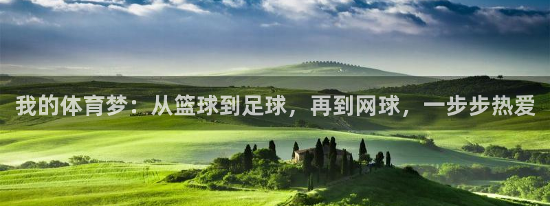 悟空体育：我的体育梦：从篮球到足球，再到网球，一步步热爱