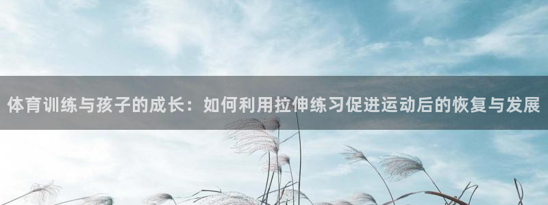 悟空体育app官网入口：体育训练与孩子的成长：如何利用拉伸练习促进运动后的恢复与发展