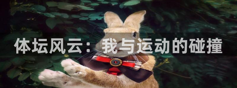莆田悟空体育：体坛风云：我与运动的碰撞