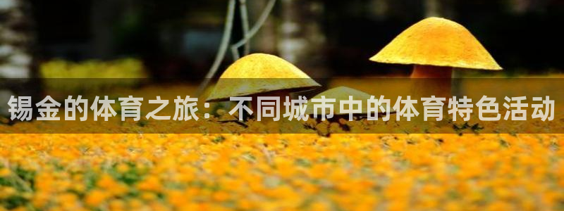 上海悟空体育：锡金的体育之旅：不同城市中的体育特色活动