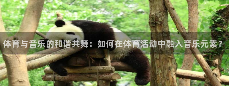 悟空体育网站官网入口手机版：体育与音乐的和谐共舞：如何在体育活动中融入音乐元素？