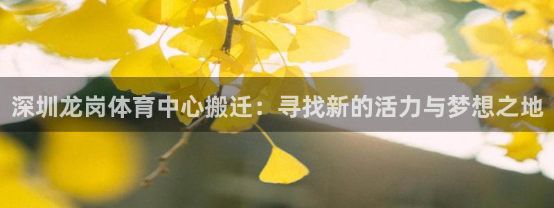 悟空体育是正品吗：深圳龙岗体育中心搬迁：寻找新的活力与梦想之地